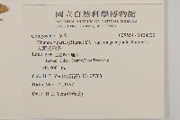 大頭艾納香藏品圖，第2張