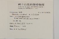 裂葉艾納香藏品圖，第2張