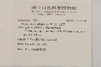 生毛將軍藏品圖，第2張