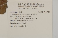 生毛將軍藏品圖，第2張