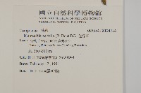 毛將軍藏品圖，第2張