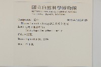 登錄號:S124736藏品圖，第4張