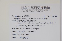 鷗蔓藏品圖，第2張