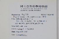 水鴨腳藏品圖，第2張