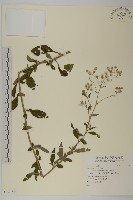 登錄號:S124744藏品圖，第1張