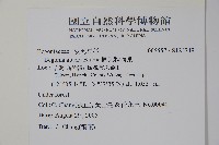 圓果秋海棠藏品圖，第2張