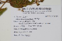 鵲不踏藏品圖，第2張