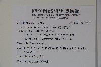 紅子莢迷藏品圖，第5張