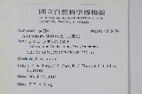 大屯尖葉槭, 川上氏槭藏品圖，第2張