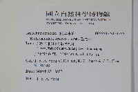 鐘萼木藏品圖，第2張