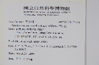 哈哼花藏品圖，第2張