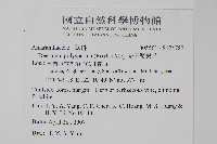 多子漿果莧藏品圖，第2張