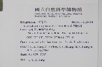 假酸漿藏品圖，第2張