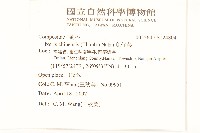 兔仔菜藏品圖，第2張