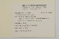 卷耳藏品圖，第2張