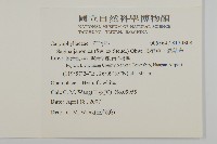 瓜槌草、漆姑草藏品圖，第2張