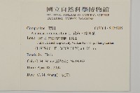 豬草、瘤果菊藏品圖，第2張