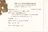 苦滇菜、苦菜藏品圖，第2張