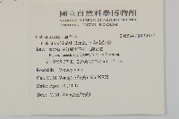 南華南蛇藤，青江藤藏品圖，第2張