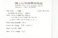 獨行菜藏品圖，第2張