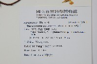 絡石藏品圖，第2張