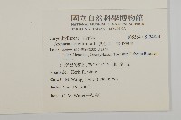 無心菜、鵝不食草藏品圖，第2張