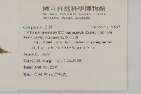 南國小薊藏品圖，第2張