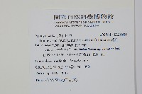 絡石藏品圖，第2張