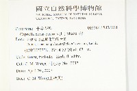 薺藏品圖，第2張