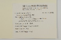 卷耳藏品圖，第2張