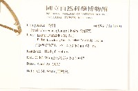 兔仔菜藏品圖，第2張