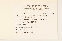 父子草、天青地白藏品圖，第2張