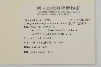 瓜槌草、漆姑草藏品圖，第2張