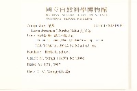 兔仔菜藏品圖，第2張