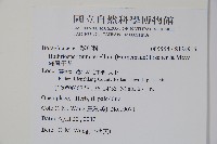 細纍子草藏品圖，第2張