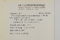 南國小薊藏品圖，第2張