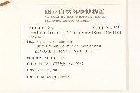 紫背草藏品圖，第2張