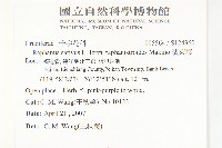 濱萊菔藏品圖，第2張