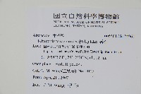 番杏藏品圖，第2張