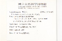 濱旋花藏品圖，第2張