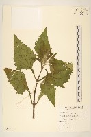 豨簽藏品圖，第1張