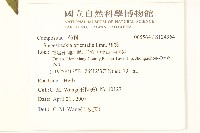 豨簽藏品圖，第2張