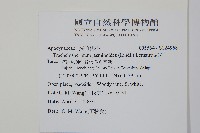 絡石藏品圖，第2張