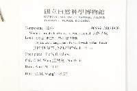 天蓬草舅藏品圖，第2張