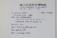 野莧菜藏品圖，第2張