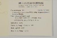 變葉藜藏品圖，第2張