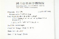 葶藶藏品圖，第2張