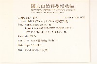 細葉剪刀股藏品圖，第2張