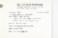 黃鵪菜藏品圖，第2張