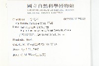 焊菜藏品圖，第2張